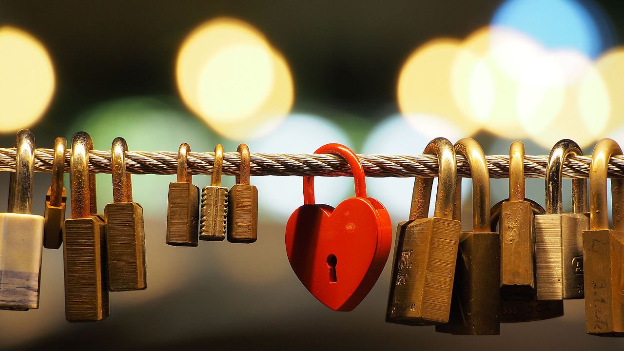 Love Love padlocks on the Butchers' Bridge (Ljubljana) author Petar Milošević